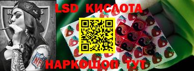 ешки Сланцы